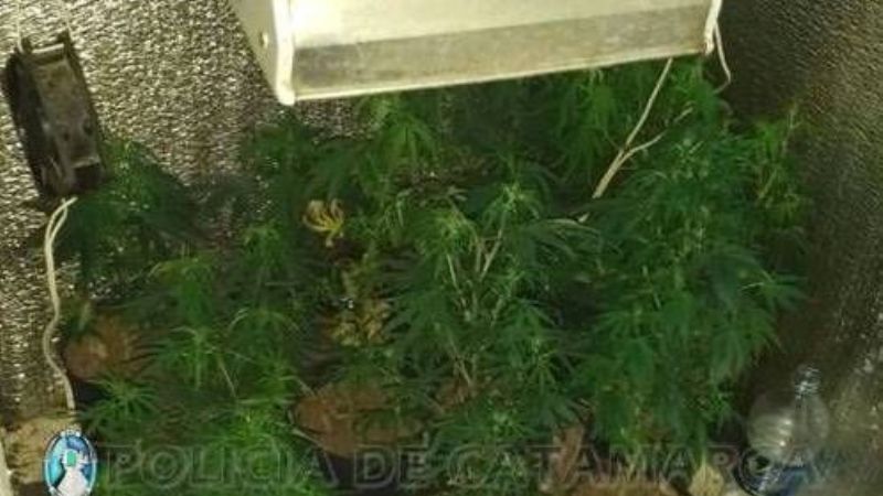 Detienen a un hombre con marihuana, cocaína y LSD en la Terminal