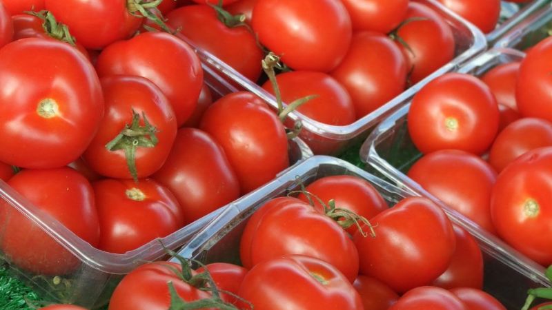 La producción de tomate y pimiento se redujo en un 30%