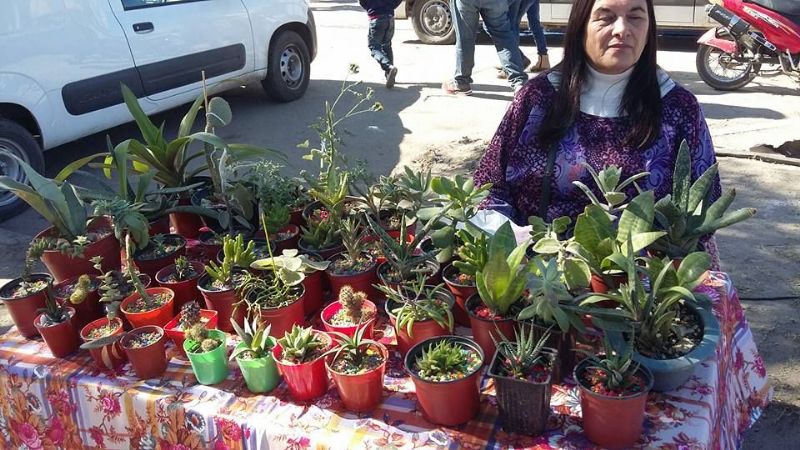 Más de 20.000 personas en la Fiesta de la Empanada