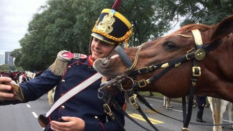 El caballo que posó para una selfie con un granadero