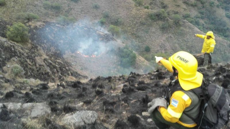 Arribaron los aviones para combatir los incendios en la provincia