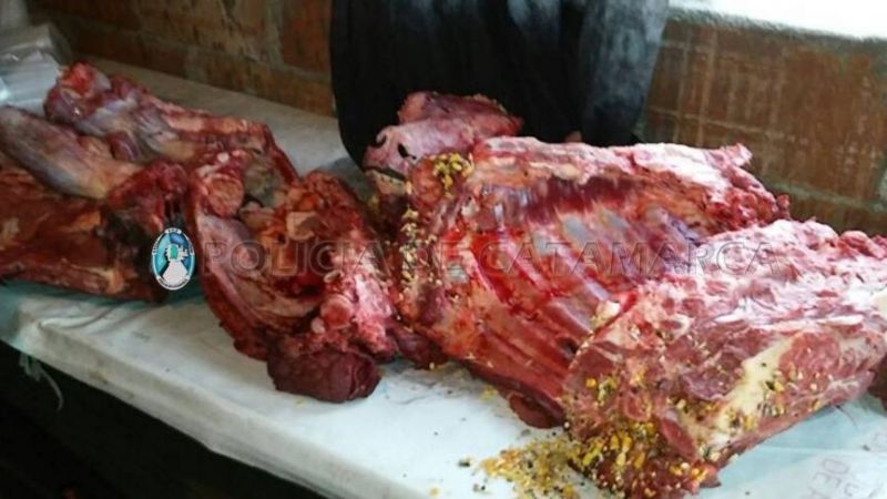 Secuestran carne de un animal faenado en La Paz