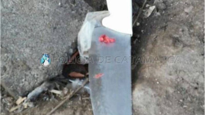 Secuestran carne de un animal faenado en La Paz