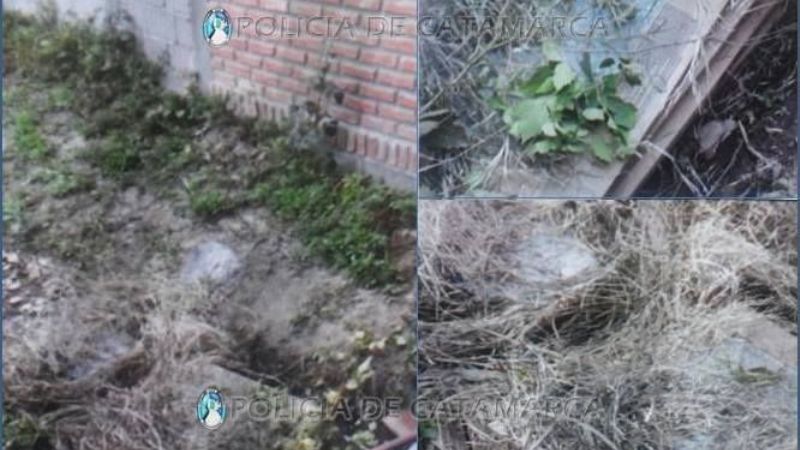 Recuperan elementos sustraídos en Valle Viejo