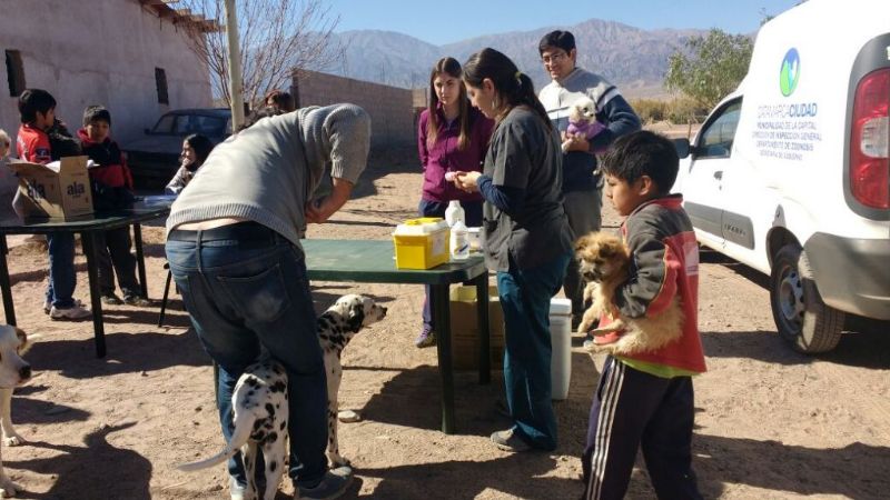 Campaña de Salud Animal en Fiambalá