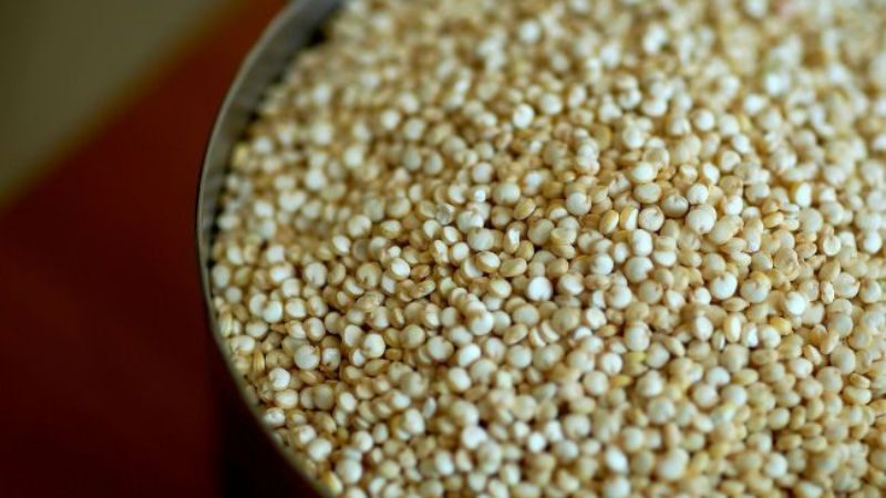 La quinoa se produce con tecnología innovadora