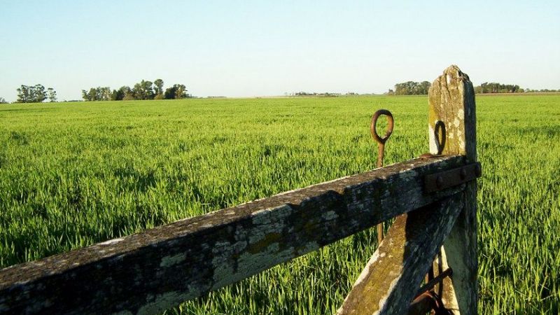 Macri eliminó límites para la venta de tierras a extranjeros