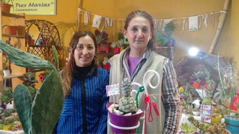 Más de cien variedades de cactus se exhiben en el Poncho 2016