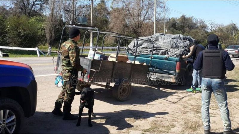 En control policial secuestran desde droga hasta un animal faenado