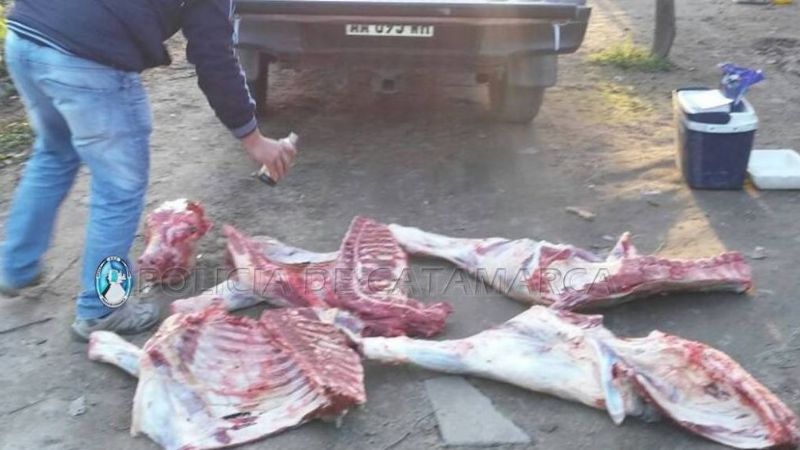En control policial secuestran desde droga hasta un animal faenado