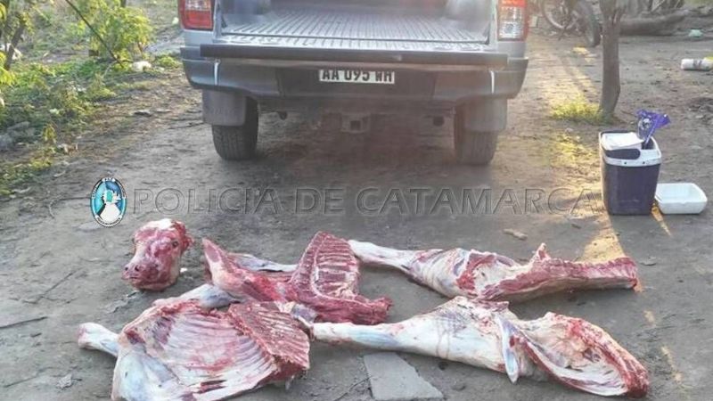 En control policial secuestran desde droga hasta un animal faenado