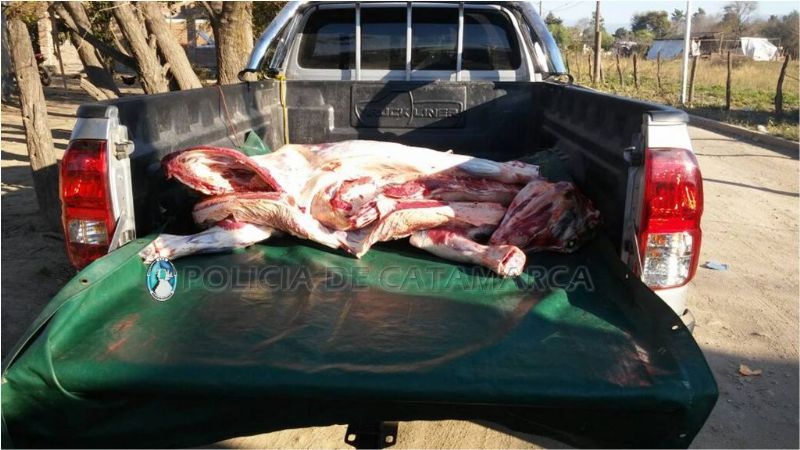 En control policial secuestran desde droga hasta un animal faenado