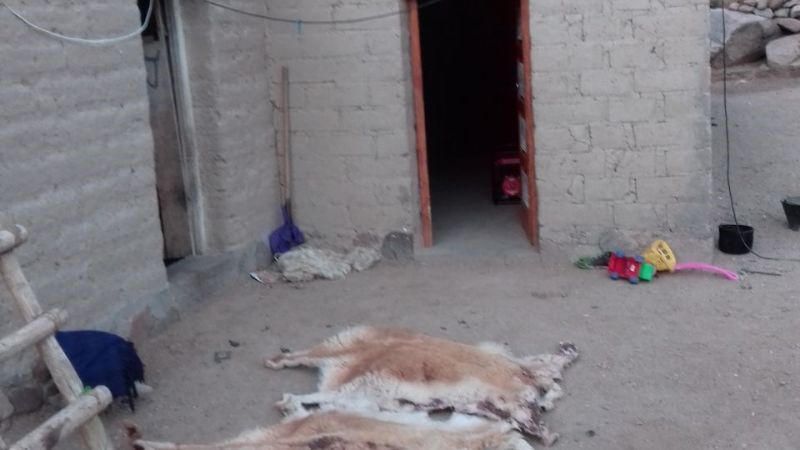 Incautaron importante cantidad de fibra de vicuña