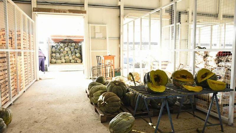 Califican de "exitoso" el primer dìa del nuevo Mercado de Abasto