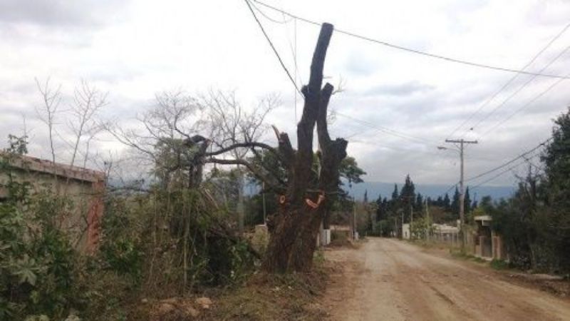 Vecinos chacareros presentaron un amparo ambiental contra el municipio