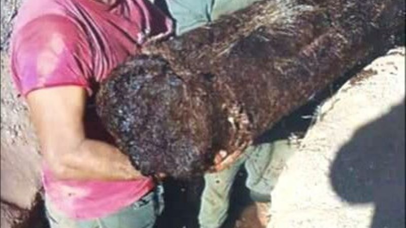 DASI Recreo trabaja en el acueducto