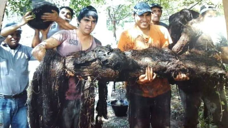 DASI Recreo trabaja en el acueducto