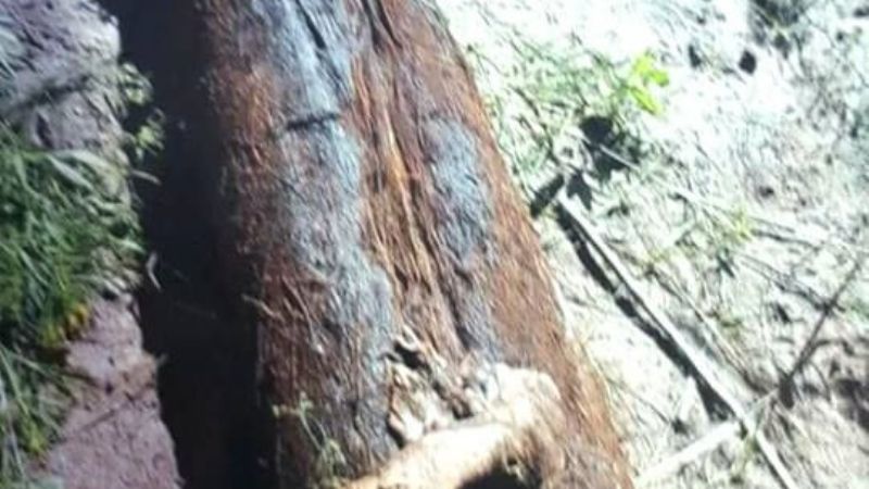 DASI Recreo trabaja en el acueducto