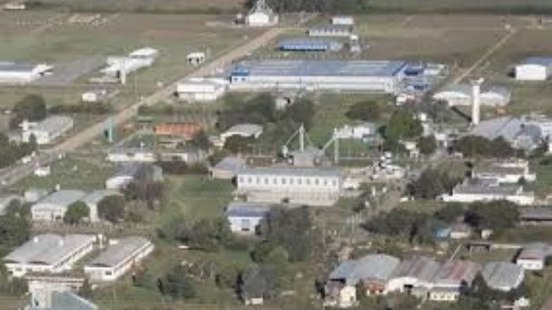 Suspensiones en la fabrica de Longvie