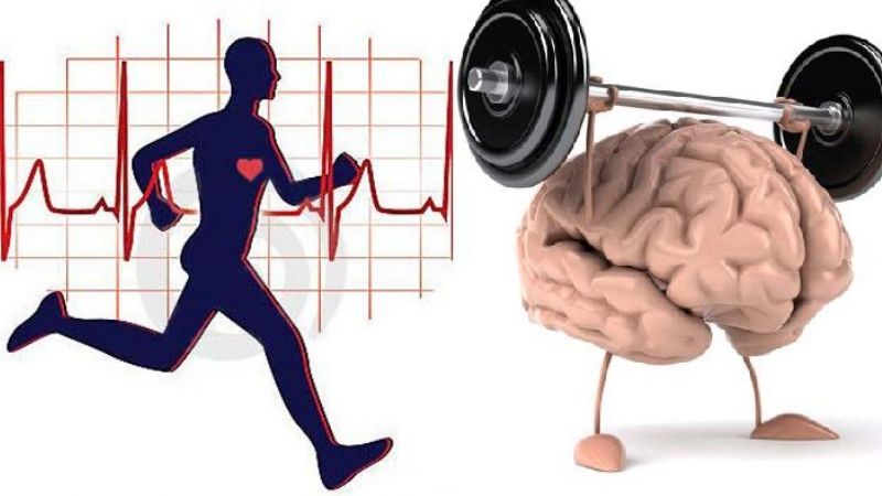Los ejercicios ayudan al funcionamiento del cerebro y previenen la demencia