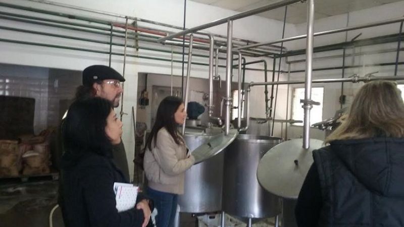 Buscan que el quesillo tenga certificado como producto regional