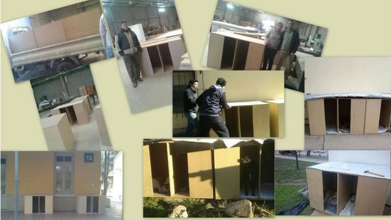 Perritos del CAPE ya tienen casita