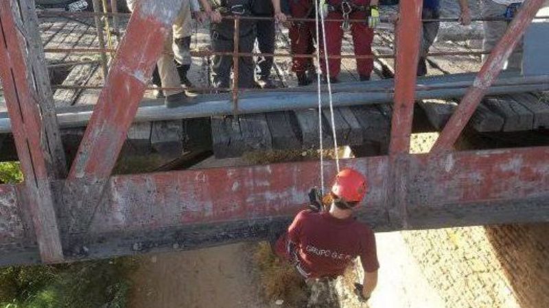 Bomberos rescataron una perra en Tres Puentes