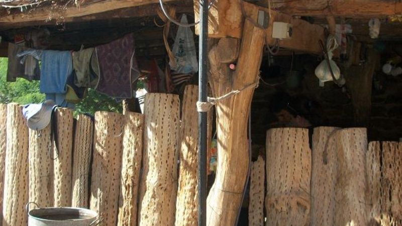 Familias podrán acceder  a energía eléctrica con paneles fotovoltaicos