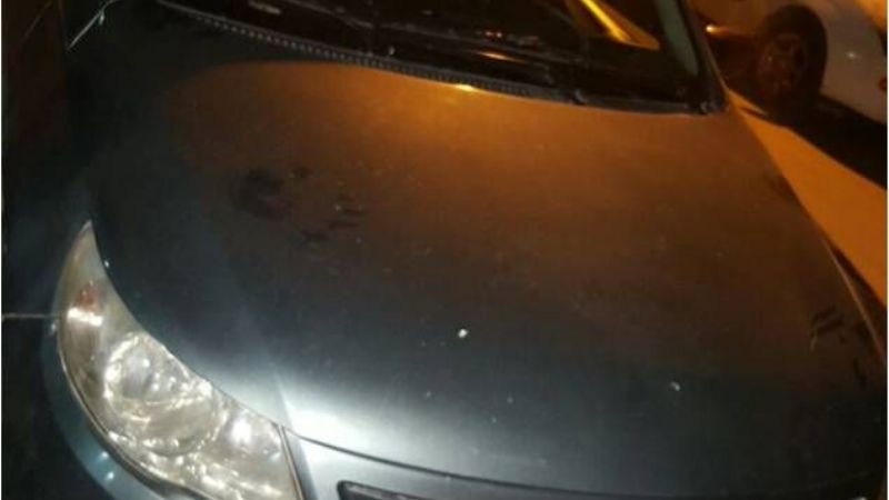 Cinco detenidos con droga