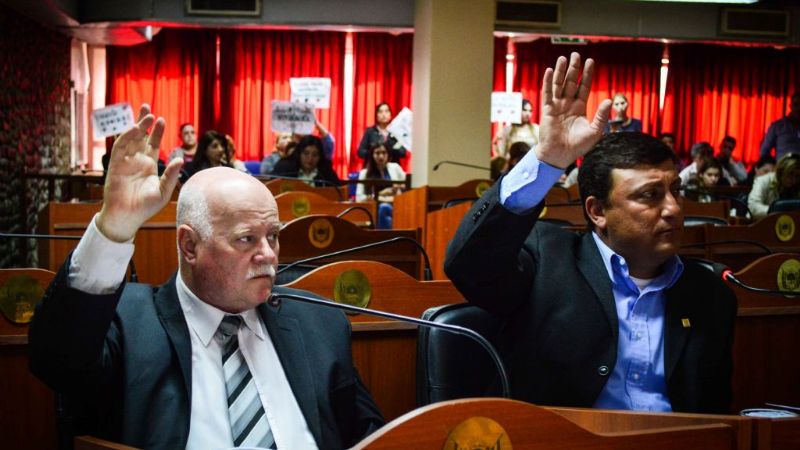 Media sanción para la creación del Hospital Veterinario Público y Centros de Atención Móviles