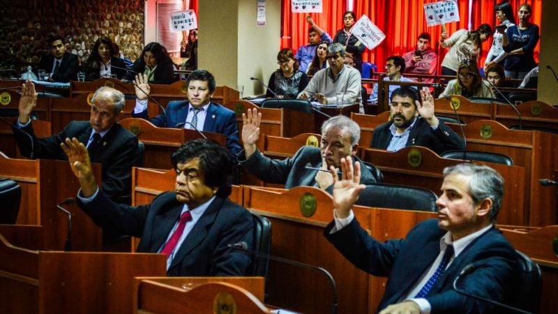 Media sanción para la creación del Hospital Veterinario Público y Centros de Atención Móviles