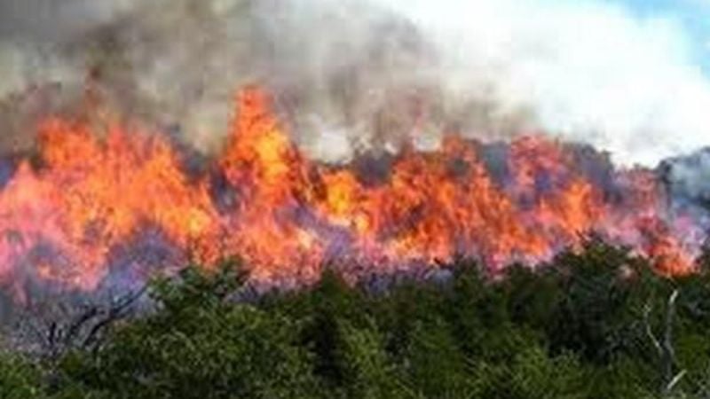 Incendio forestal en Ambato