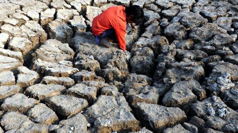 Julio, el mes más caliente jamás registrado en la Tierra
