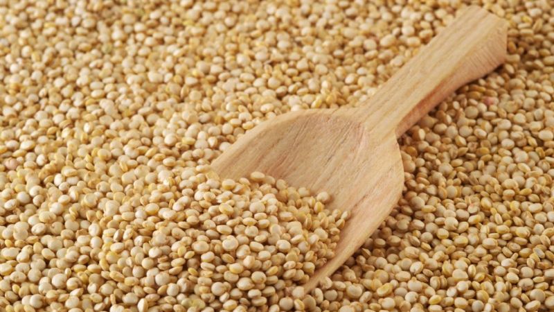 La quinoa, un cultivo autóctono que se importa de Indonesia
