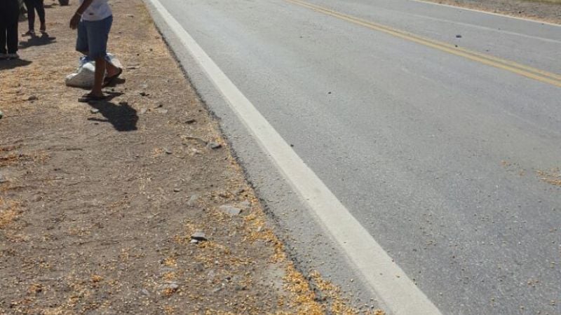 Volcó camión en la Ruta Nacional N°157