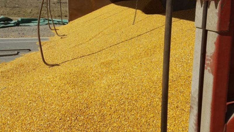 Volcó camión en la Ruta Nacional N°157