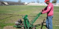 EL CÉSPED se trasplanta de los laterales al campo de juego.