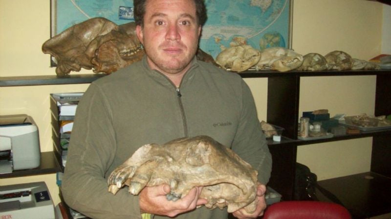 Afirman que Norteamérica y Sudamérica se unieron hace 2,8 millones de años