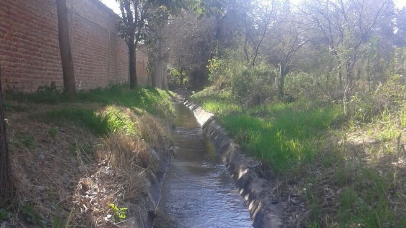 Trabajos de riego en el interior
