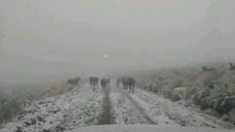 Por acumulación de nieve, transitar con precaución por la cuesta del Portezuelo