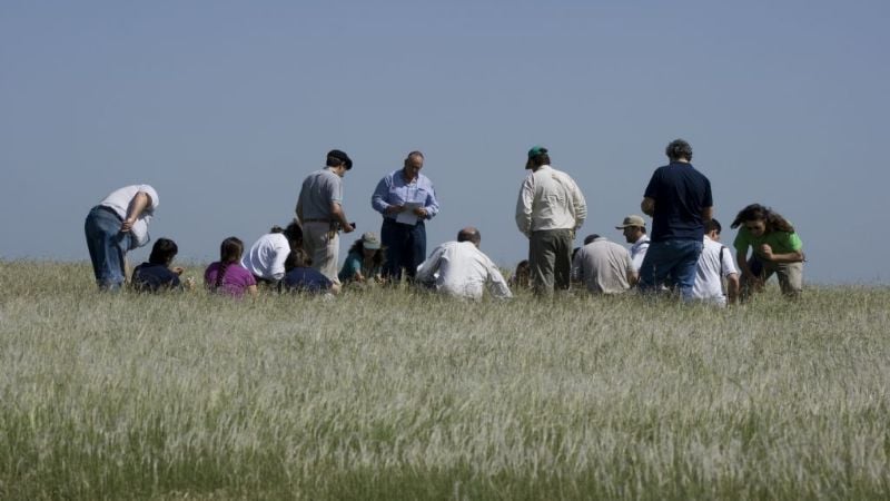 Proponen impulsar la ganadería para lograr el autoabastecimiento de carne