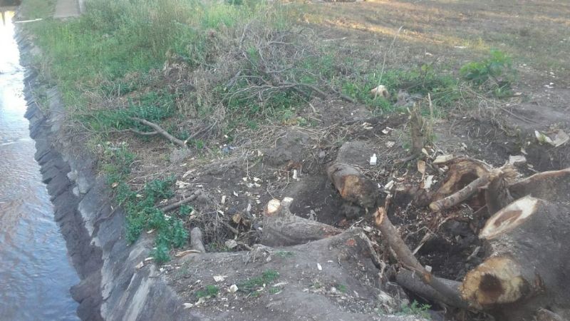 Mantenimiento, reparación y construcción de canales en el interior