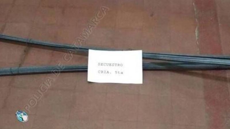 Secuestran elementos robados