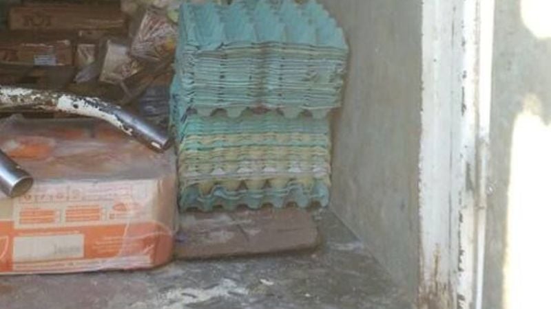 Decomisaron 580 kilos de pollo