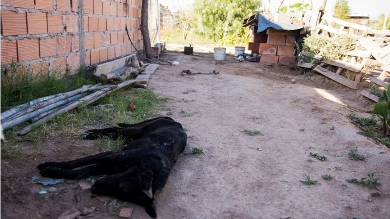 Noche de furia, drogas, aberraciones y promesa de justicia por manos propias