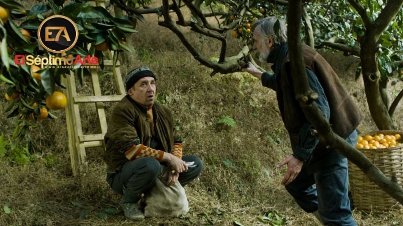 Regresa el Espacio INCAA con la proyección de “Mandarinas”