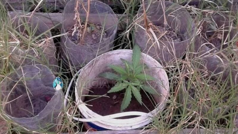 Registro domiciliario en La Paz