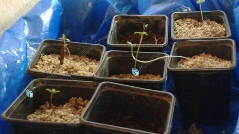 Registro domiciliario en La Paz