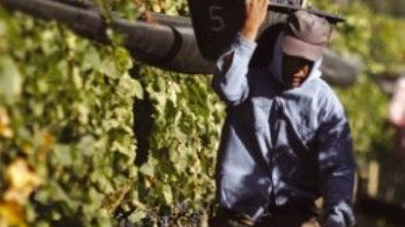 Homologaron el 35% de aumento a los trabajadores rurales