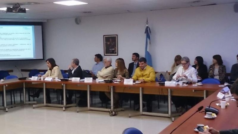 La Comisión de Economías Regionales junto a técnicos del Plan Belgrano